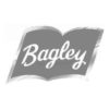 tecnoemel-preview_logo-bagley